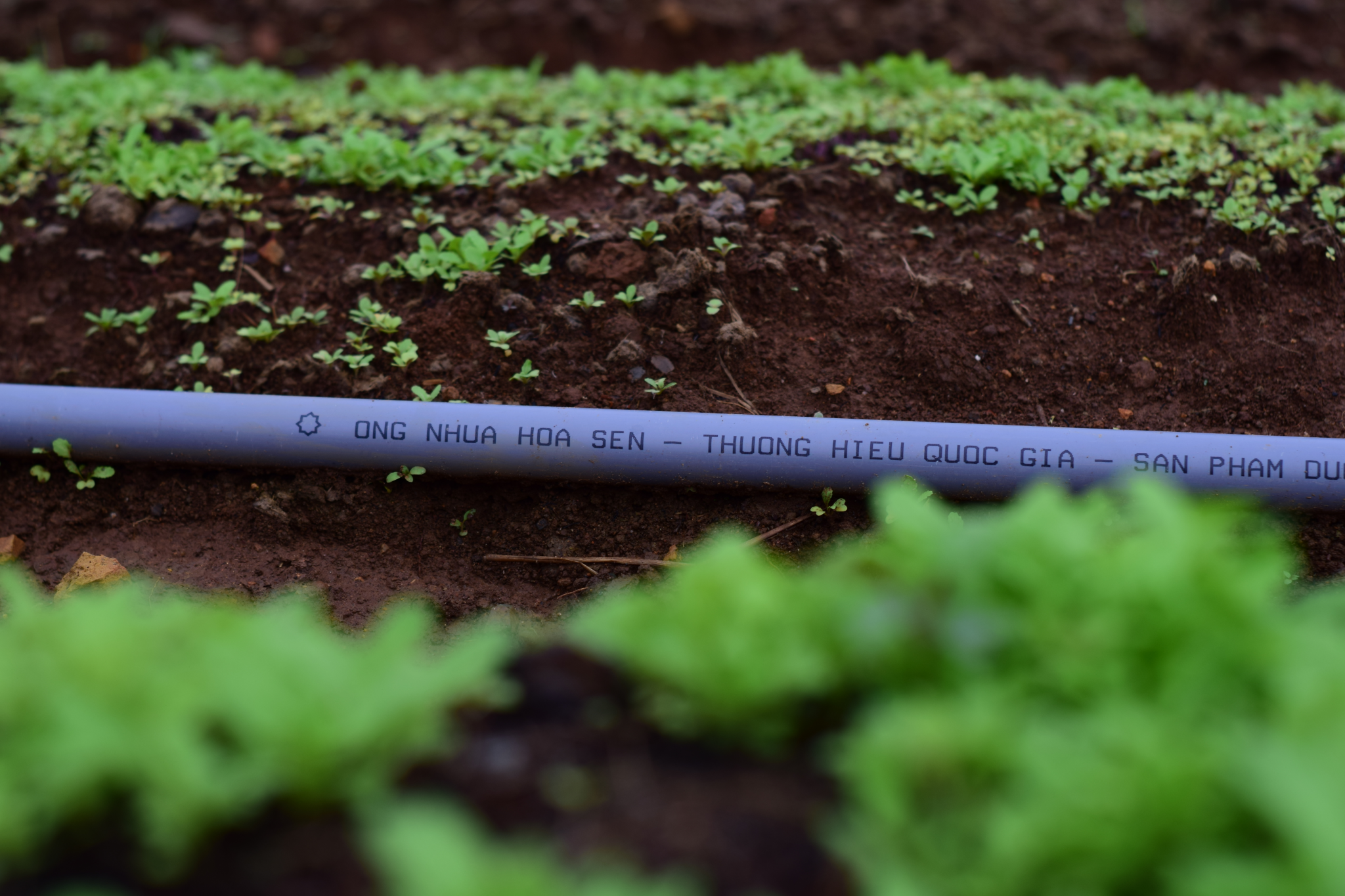 Hoa Sen plastic pipes – For a sustainable agriculture